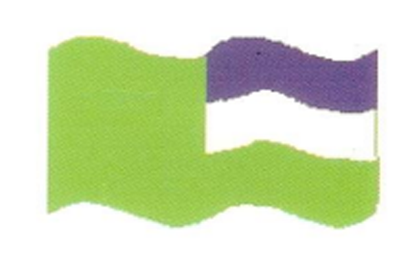 Bandera Institucional